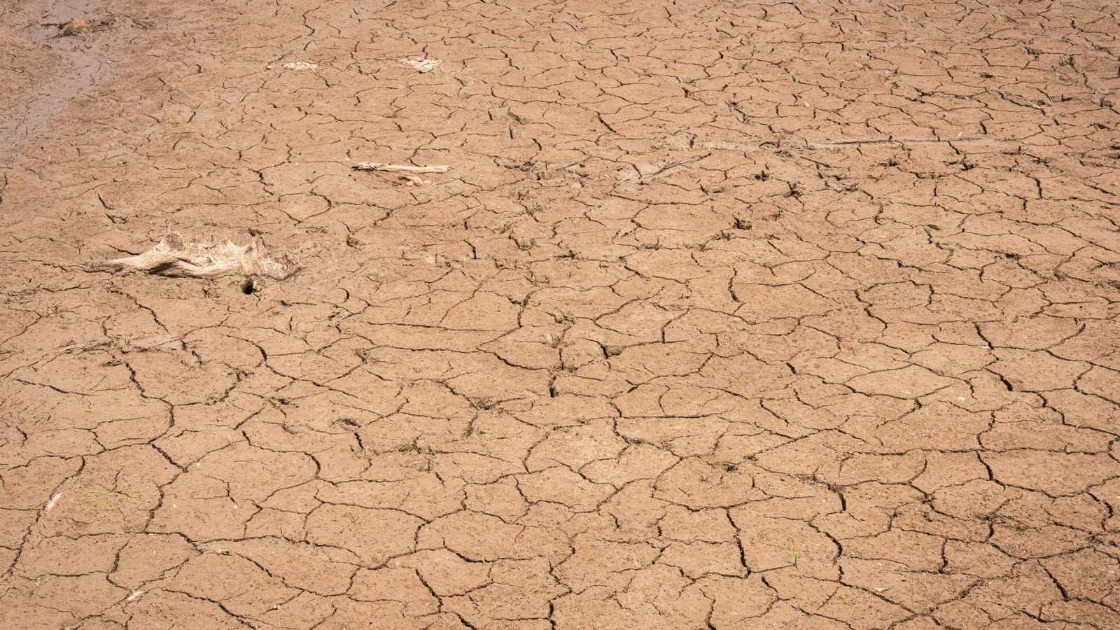 Revealed: businesses use billions of litres of public water daily as England faces drought restrictions
