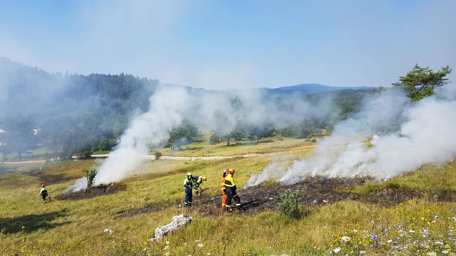 France Records Hundreds of Wildfire Arrests Amid Record Damage and Climate Concerns