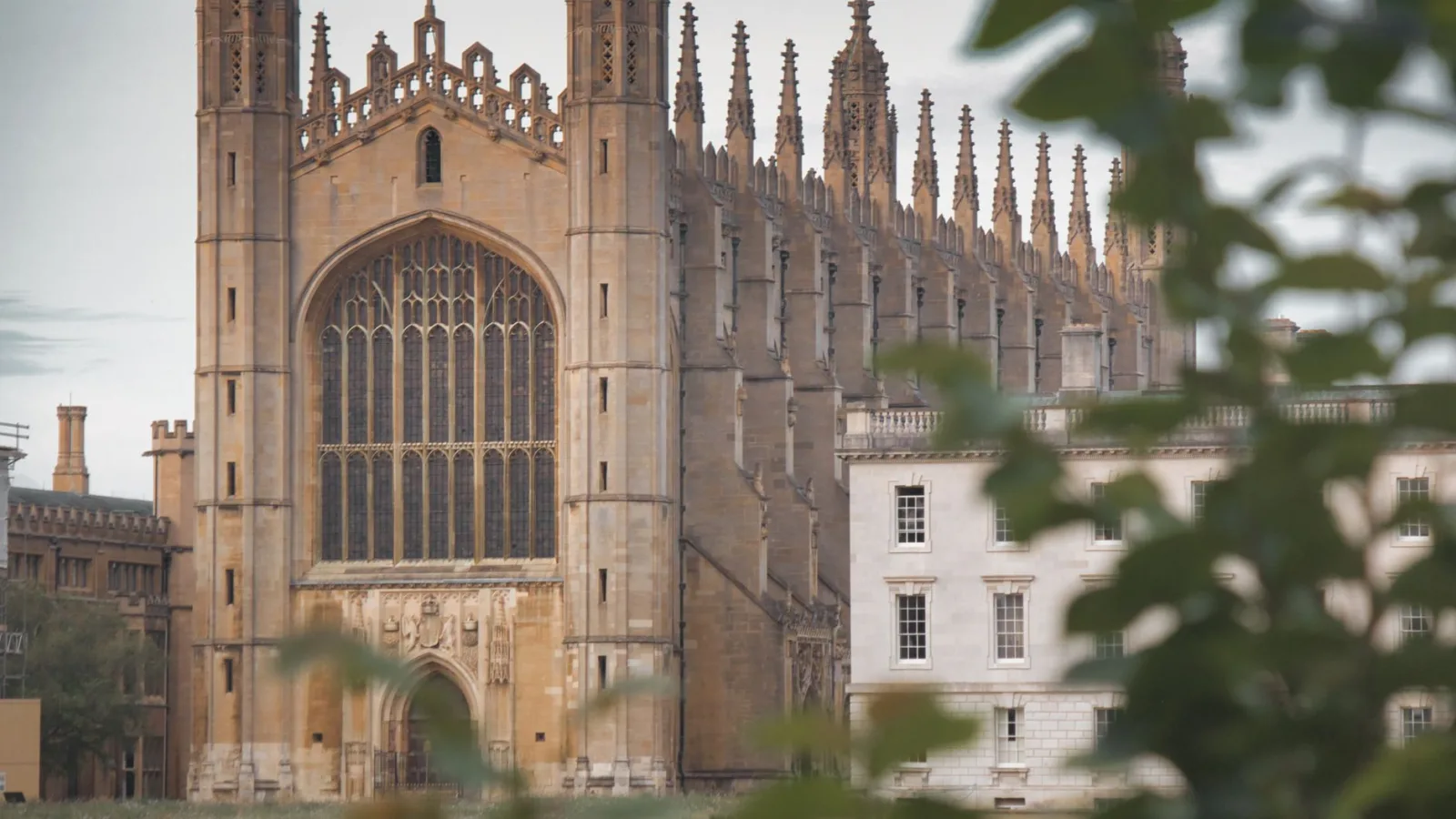 Cambridge professor Jason Arday resigns after university opens investigation into claims