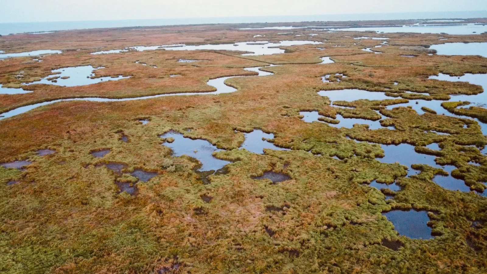 SpaceX Nears Deal for 130,000 Acres of Louisiana Marshland for Rocket Launches