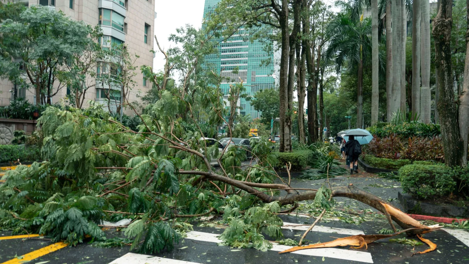 Super Typhoon Bavi Strikes US Pacific Territories With Catastrophic Winds